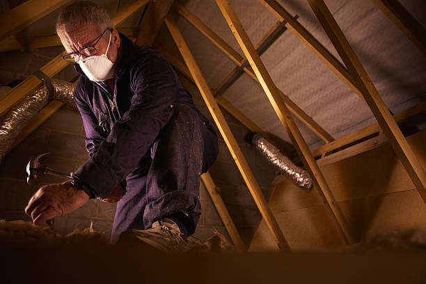 Best Residential Insulation in Oak Grove, VA